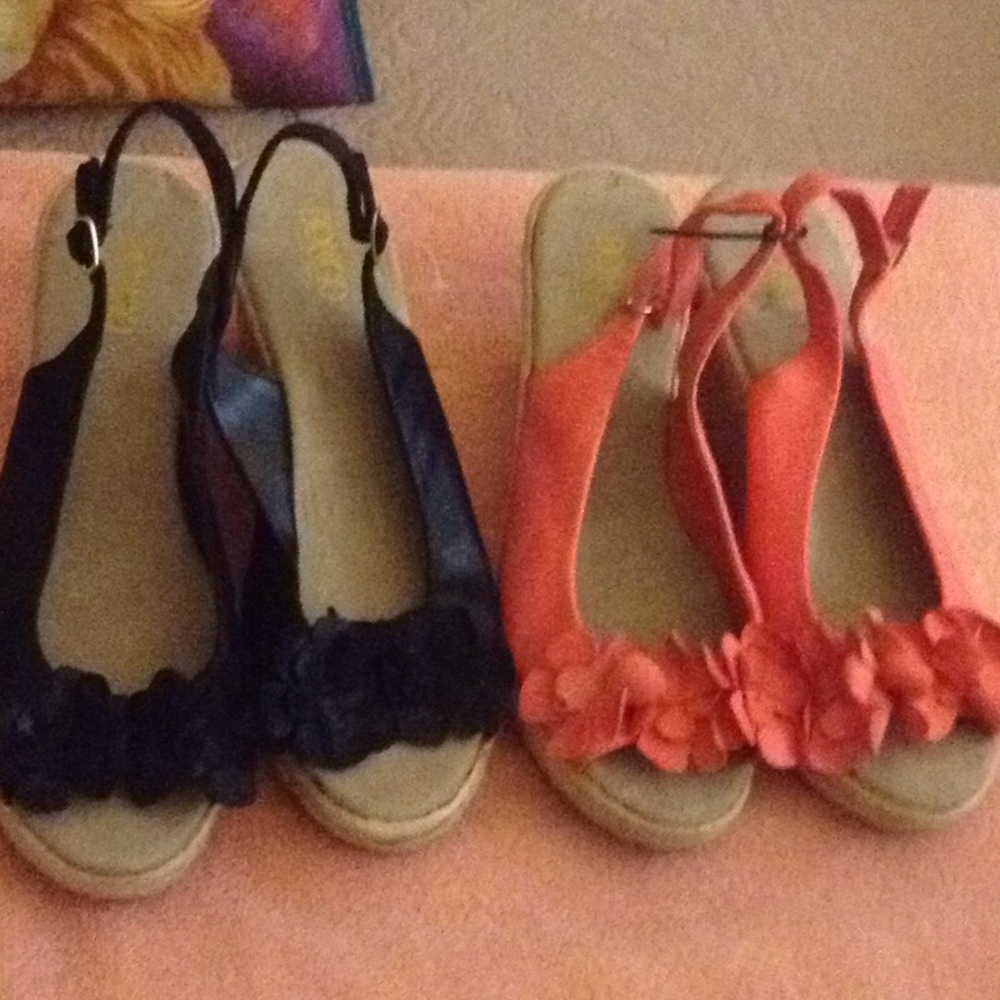 Wedge Bundle